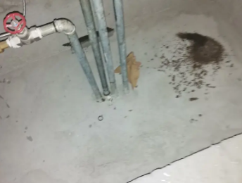 湄潭卫生间测漏水价格明细