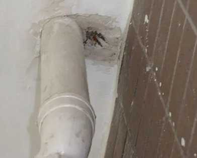 湄潭漏水检测哪家好